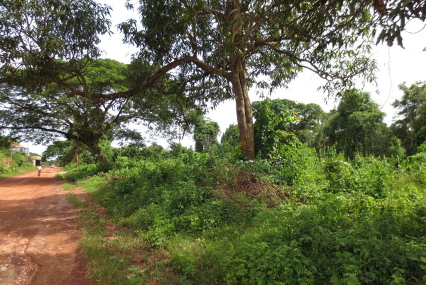 Wegofa real estate (2)