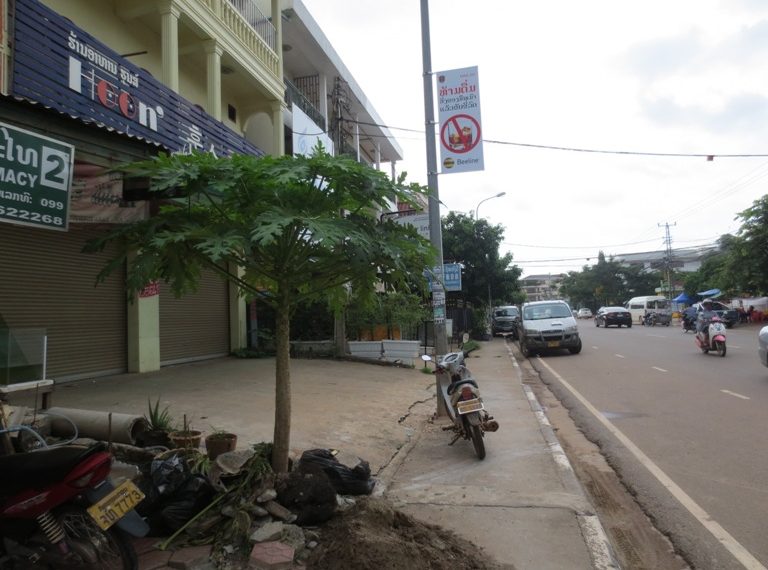 Wegofa real estate (3)