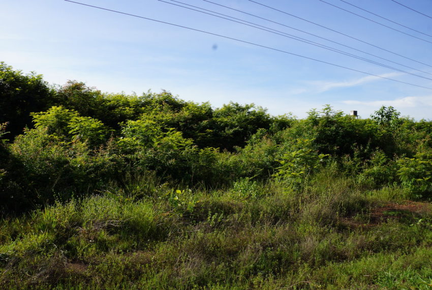 Land for sale in Xaythany1