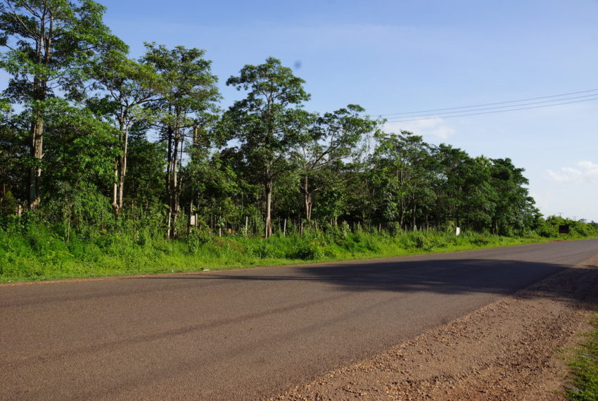 Land for sale in Xaythany3
