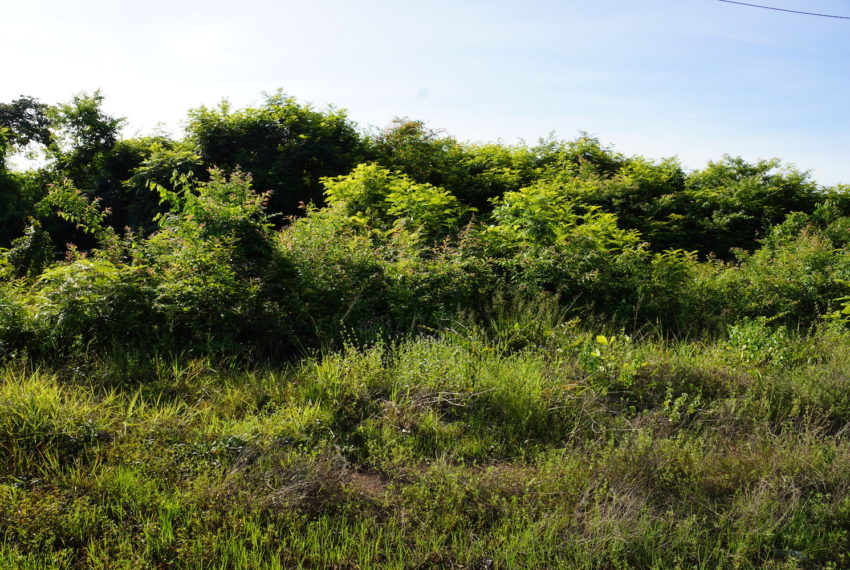 Land for sale in Xaythany4