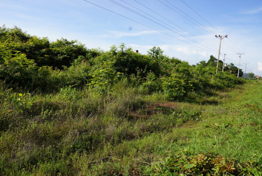Land for sale in Xaythany5
