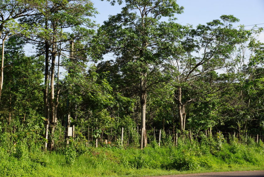 Land for sale in Xaythany5