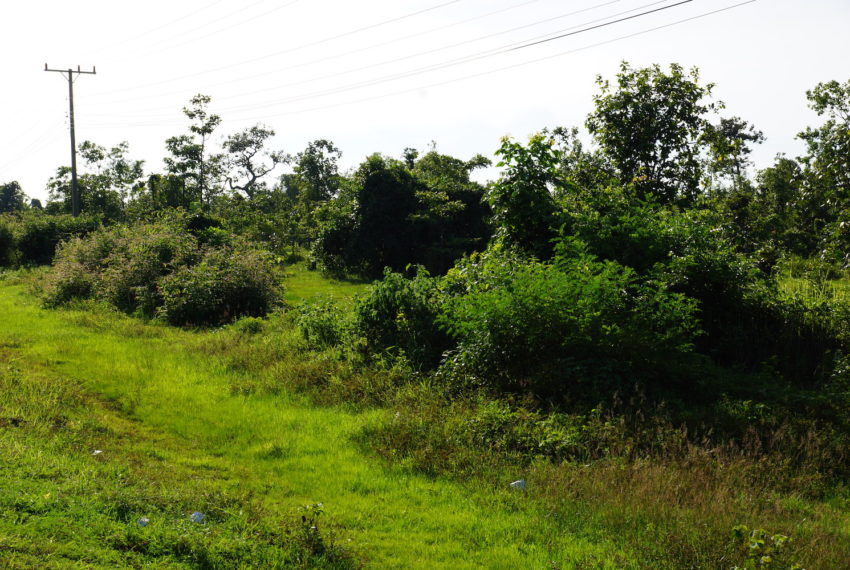 Land for sale in Xaythany6