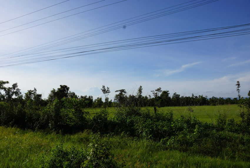 Land for sale in Xaythany9