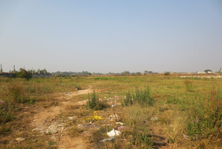 Agriculture Land (1)