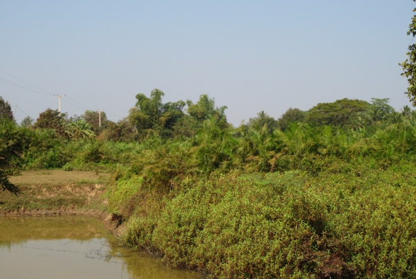 Agriculture Land (1)