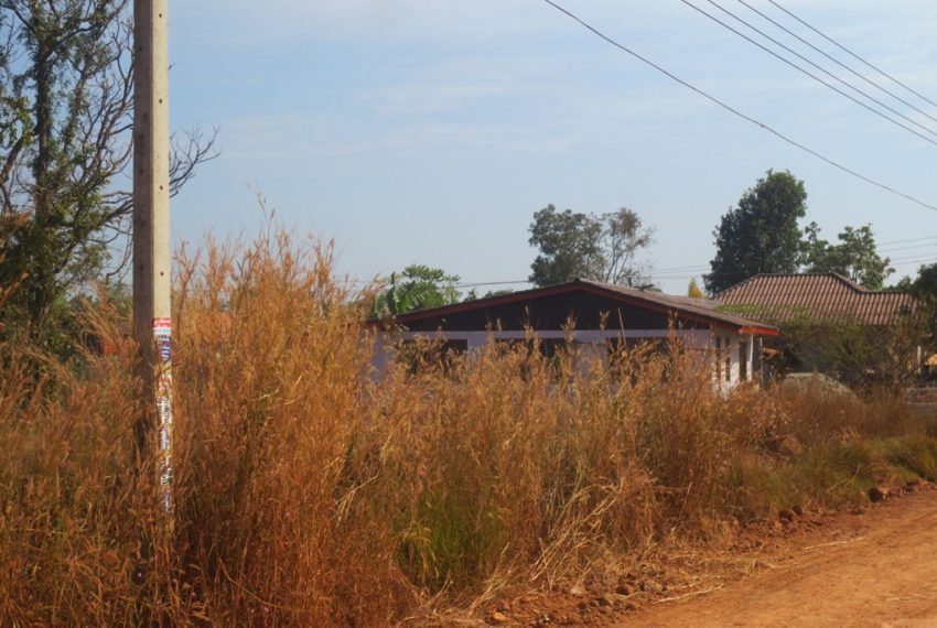 Agriculture Land (1)