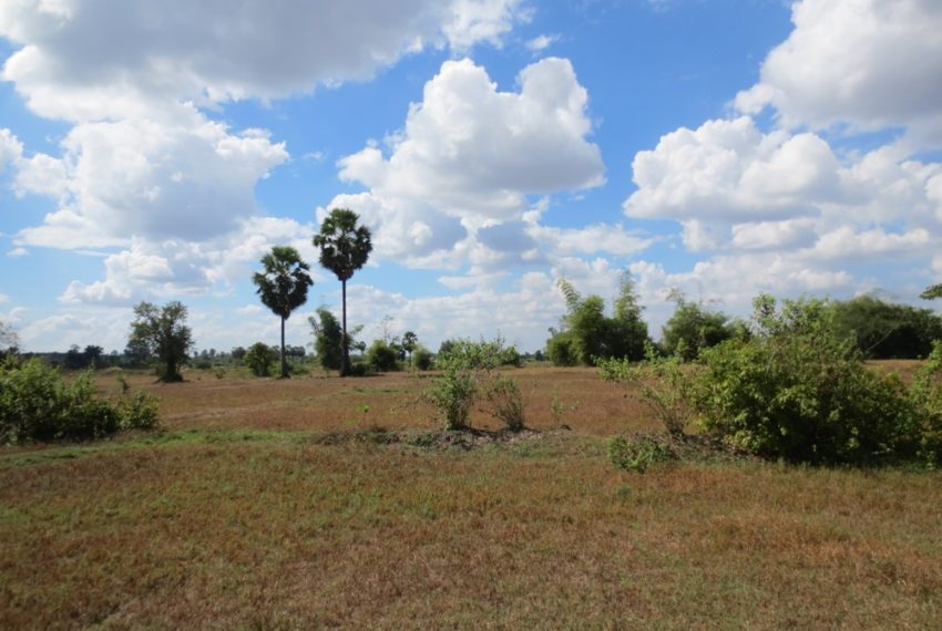 Agriculture Land (11)