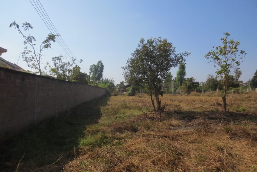 Agriculture Land (2)