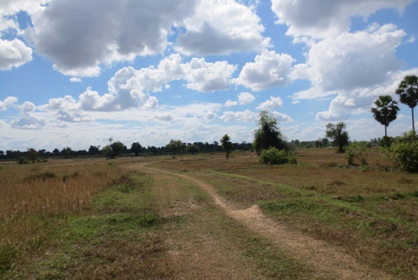 Agriculture Land (2)