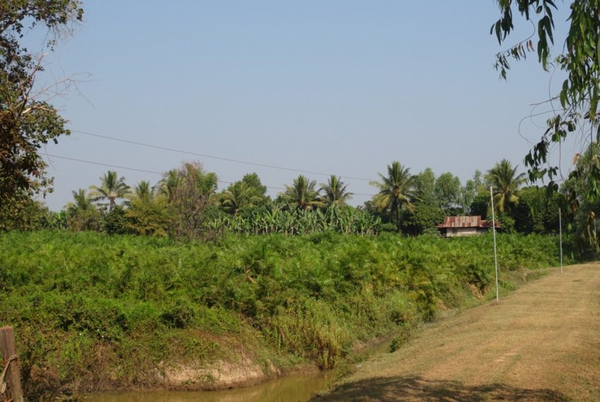 Agriculture Land (3)