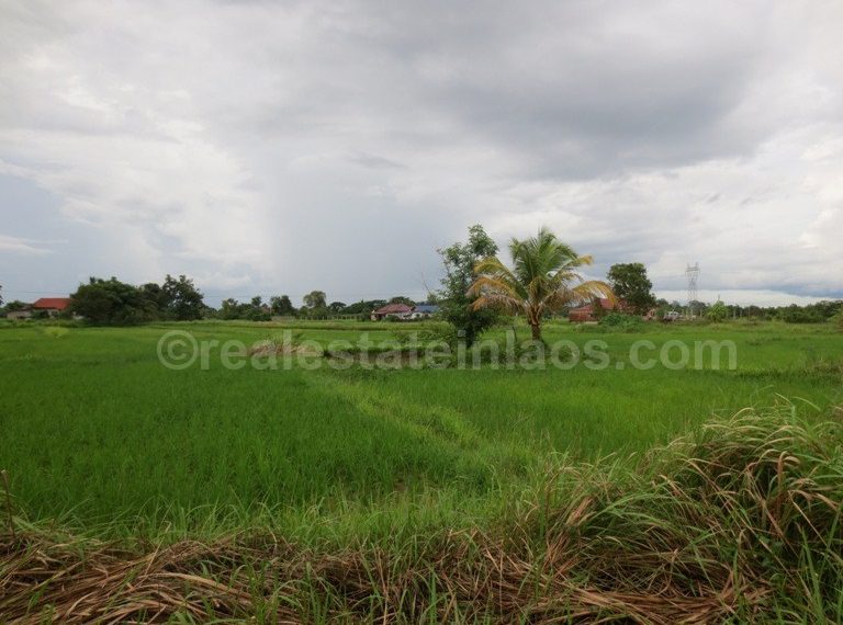 Agriculture Land (3)