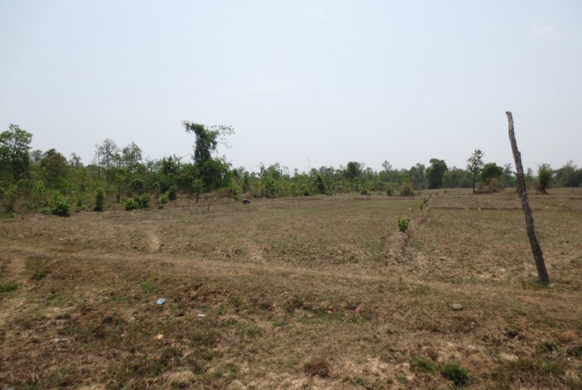 Agriculture Land (3)