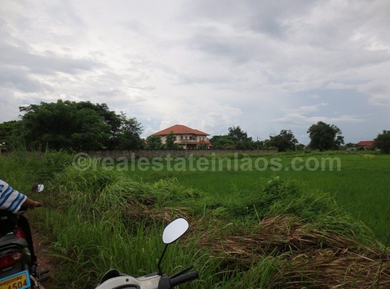 Agriculture Land (4)