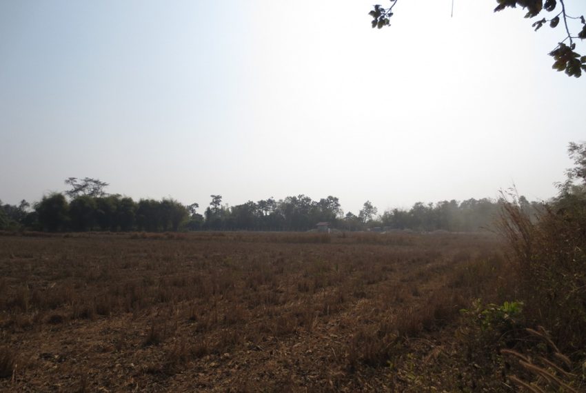 Agriculture Land (4)