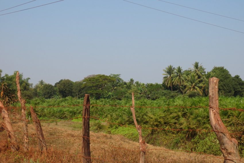 Agriculture Land (4)