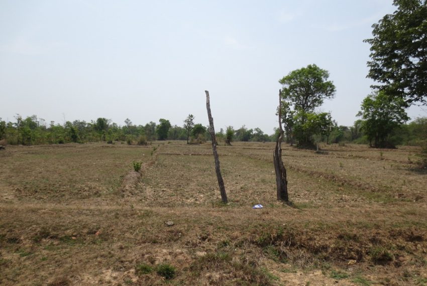 Agriculture Land (4)