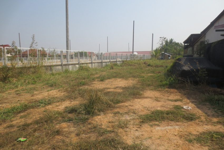 Agriculture Land  (5)