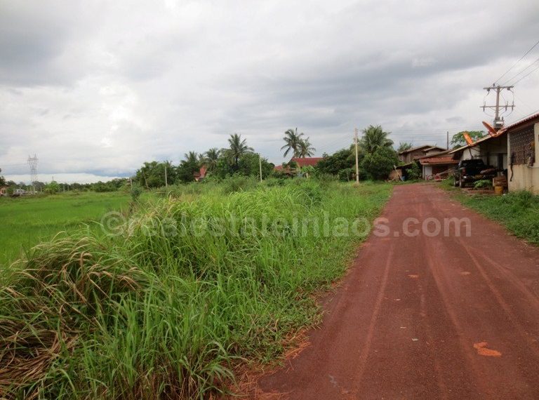 Agriculture Land (6)