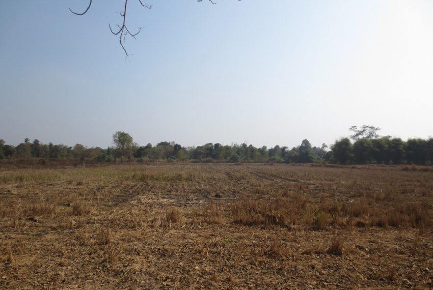 Agriculture Land (7)