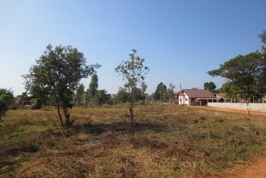Agriculture Land (7)