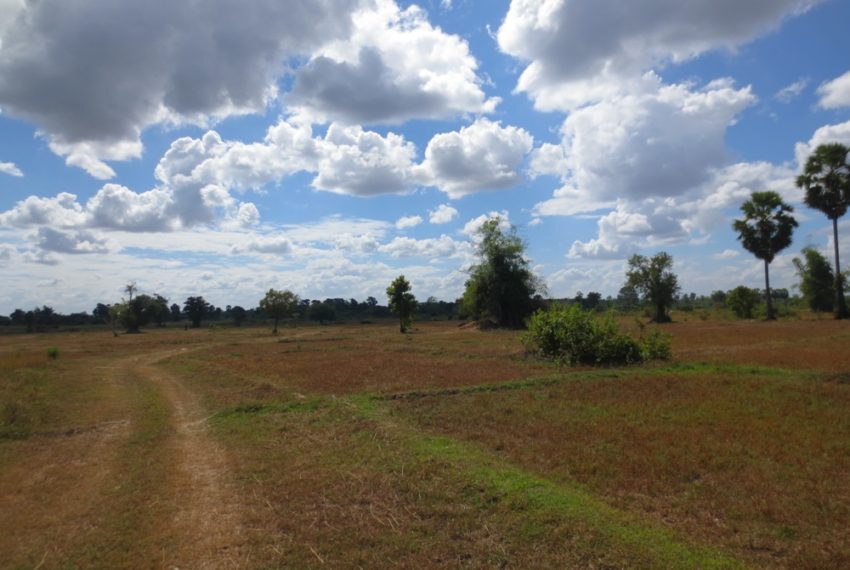 Agriculture Land (9)