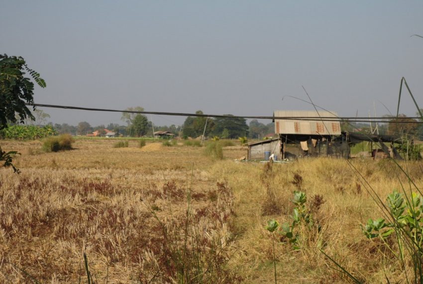 Agriculture Land For Sale (3)