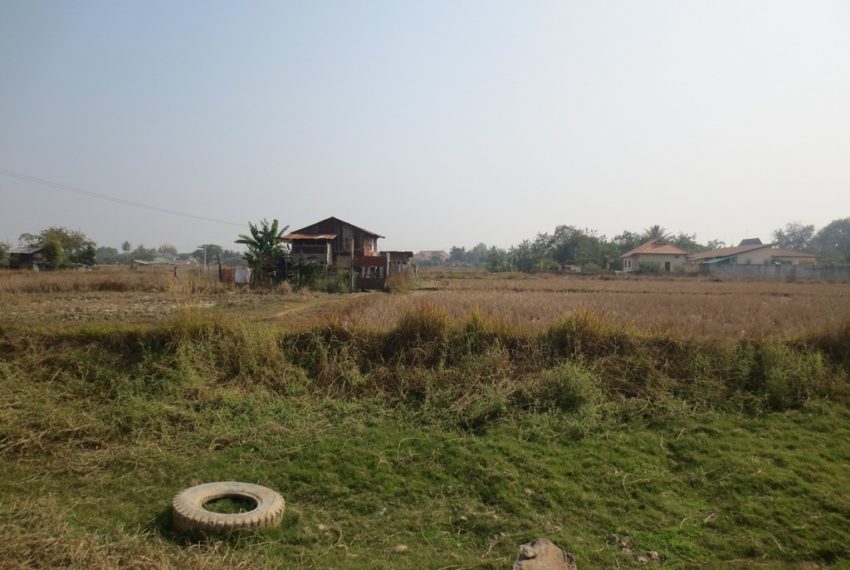 Agriculture land (2)