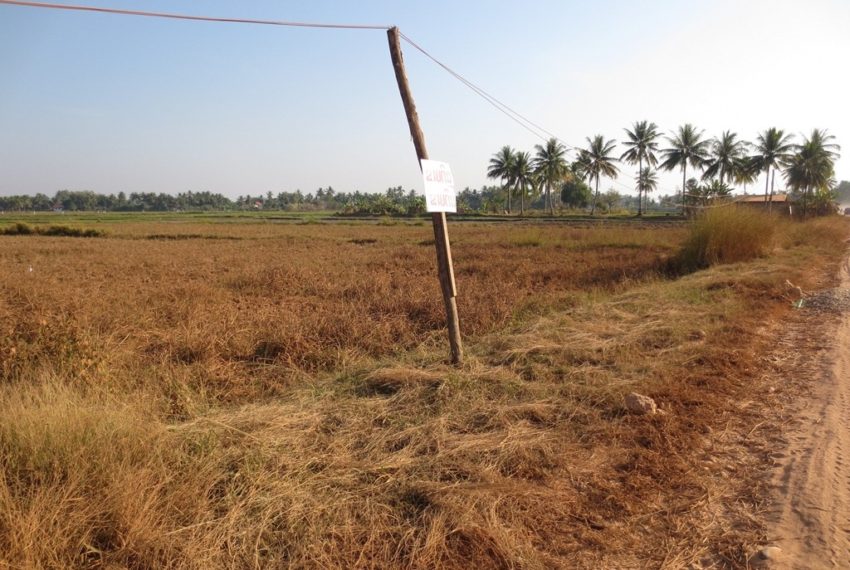 Agriculture land (3)