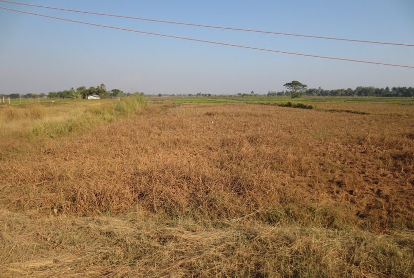 Agriculture land (4)