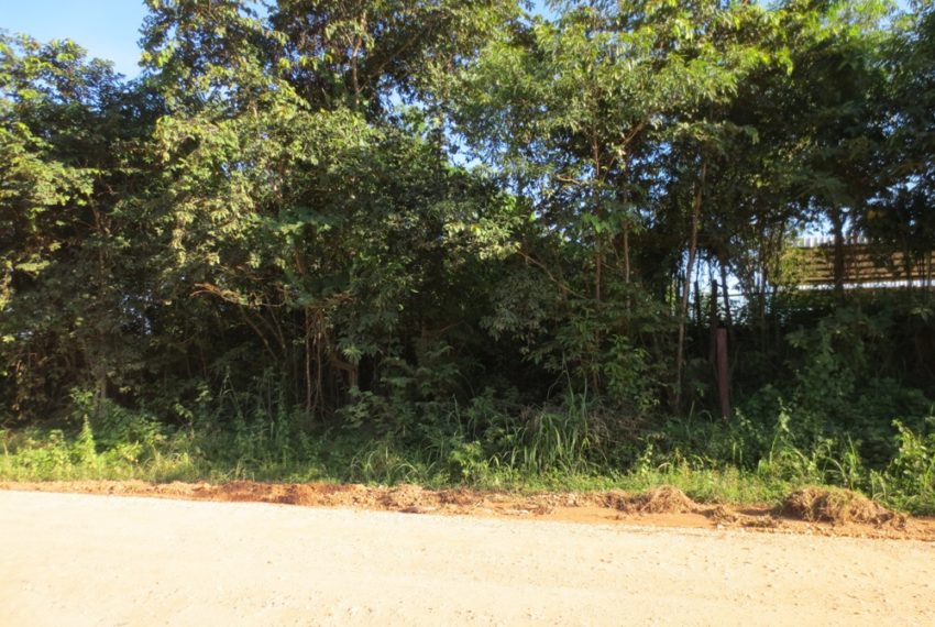Agriculture land (4)