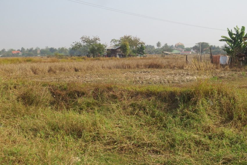 Agriculture land (4)