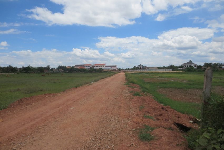 Agriculture land For Sale (1)