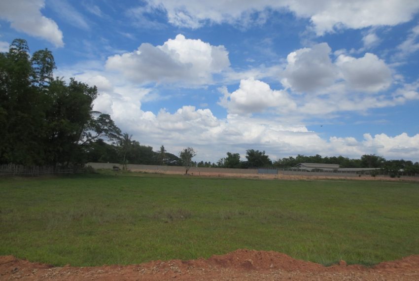 Agriculture land For Sale (3)