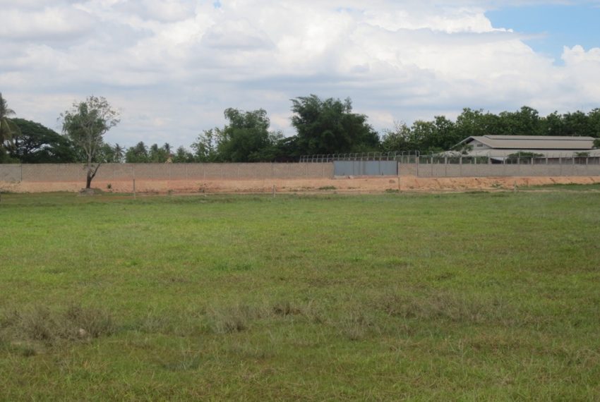Agriculture land For Sale (4)