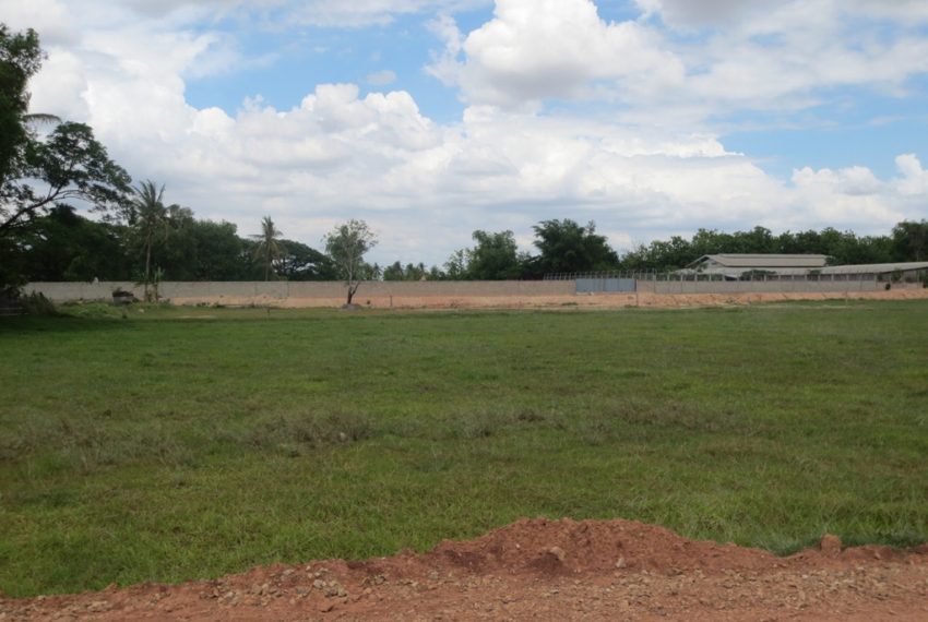 Agriculture land For Sale (6)