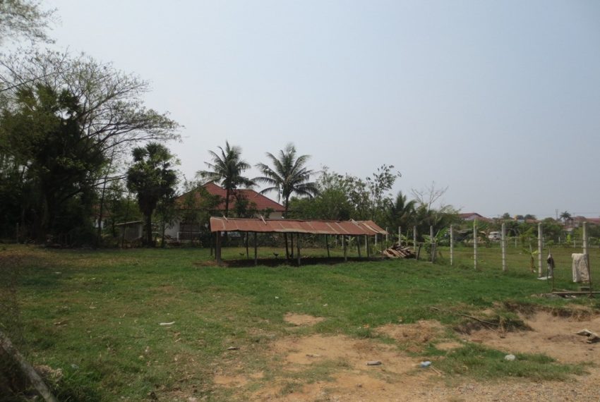 Agricutture  Land (1)