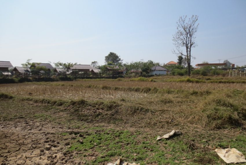 Agriulture  Land (11)