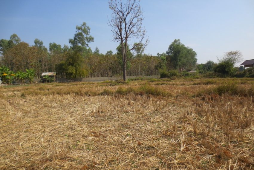 Agriulture  Land (3)