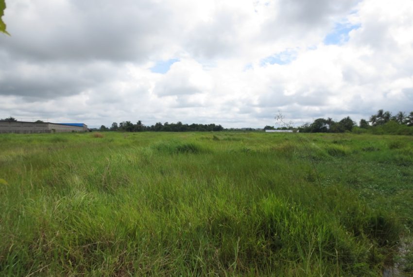 Commercial Land (2)