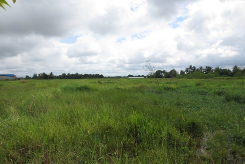 Commercial Land (4)