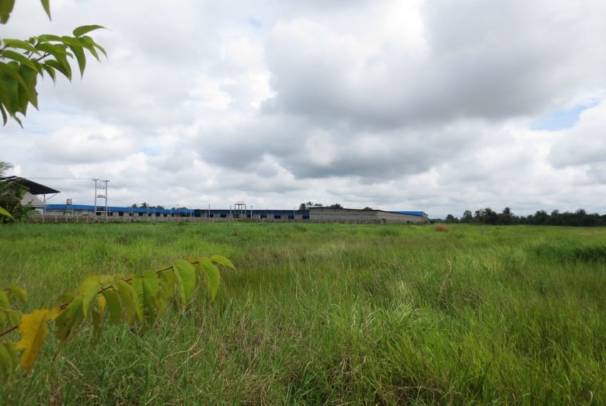 Commercial Land (5)