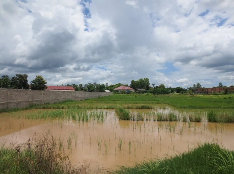Commercial Land For Sale (4)