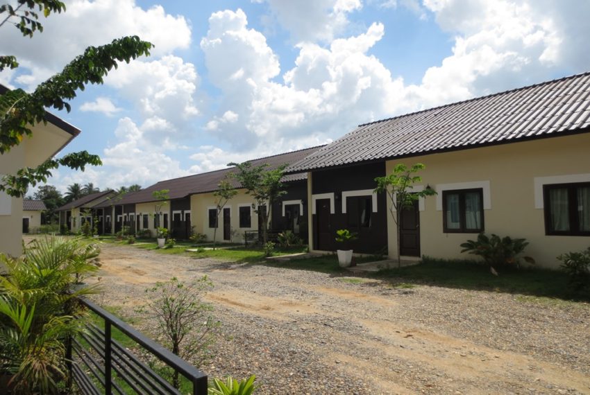 House for Rent (8)