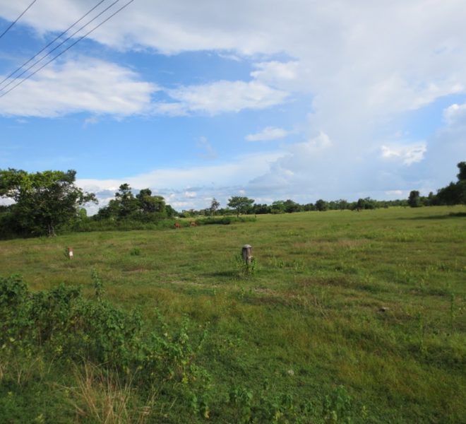 Industry Land  (1)