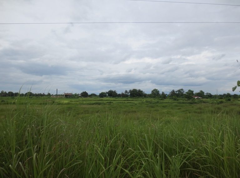 Industry Land For Sale (1)