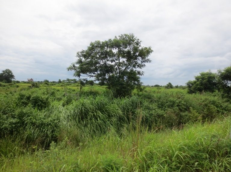 Industry Land For Sale (2)