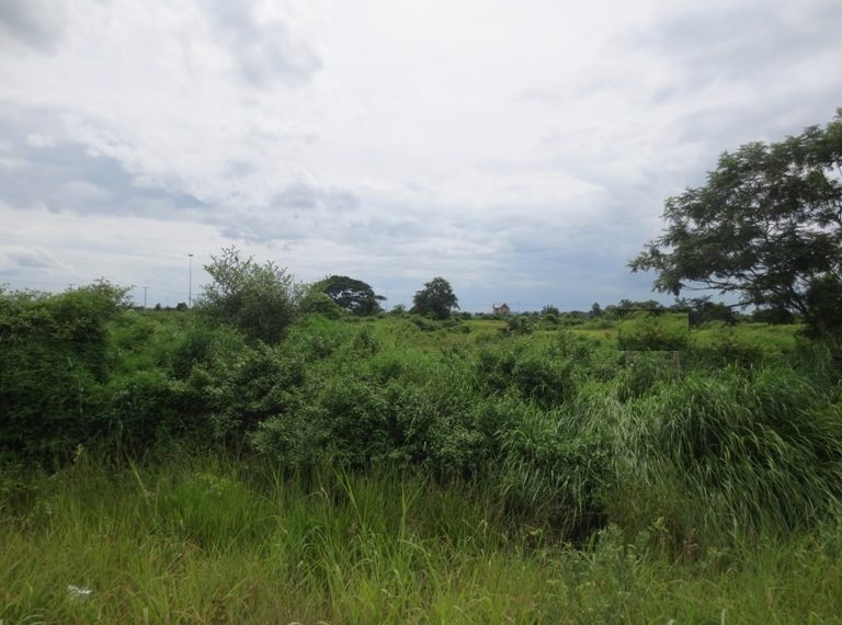 Industry Land For Sale (3)