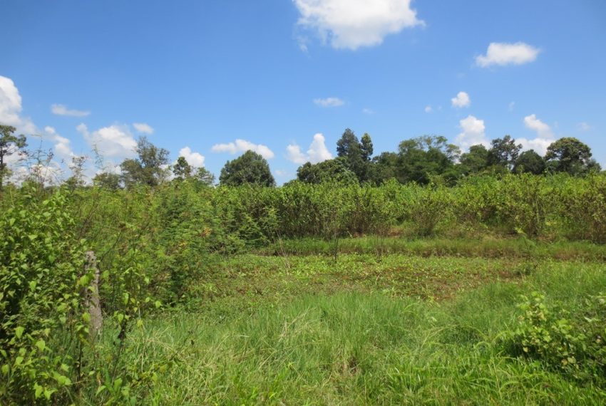 Industry Land For Sale (4)